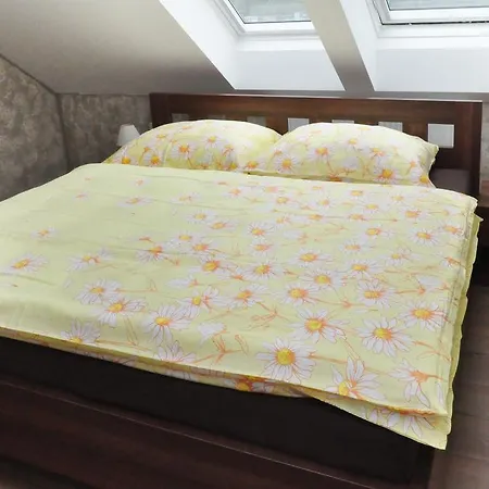 Гостевой дом U Janca Леднице