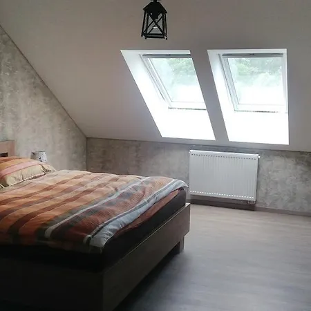 Guest house U Janca *