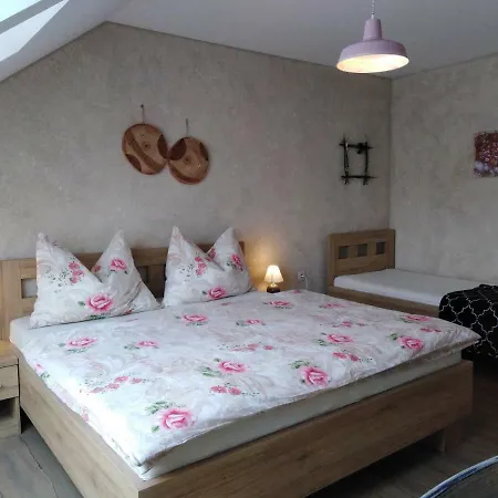 Guest house U Janca *